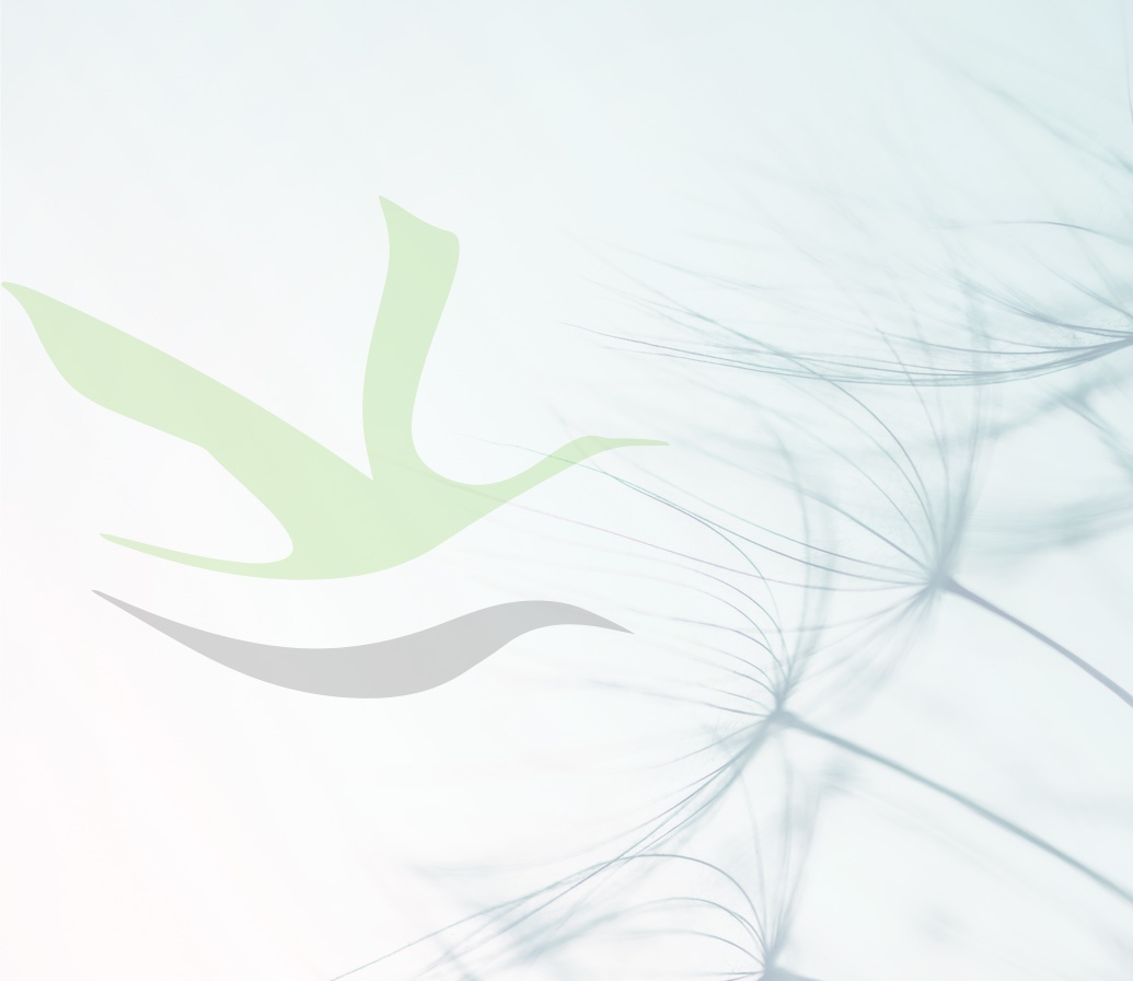 Banner portada